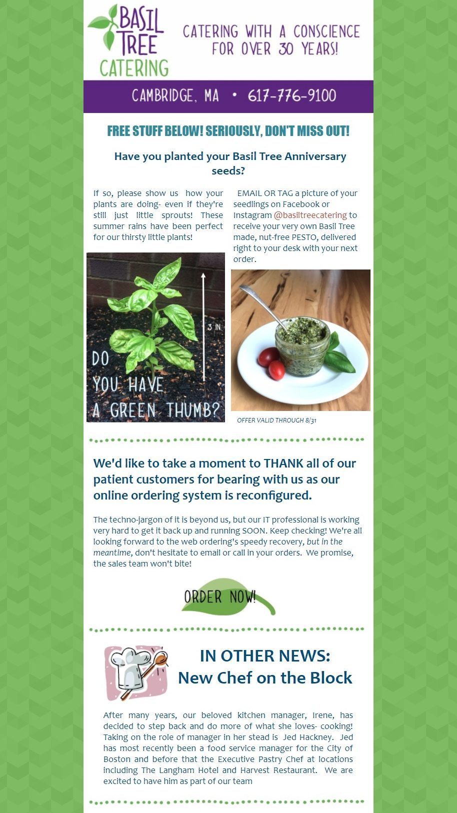 basil plant follow-up newsletter